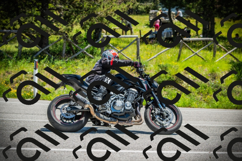 202506021230-DSC04702_c1_