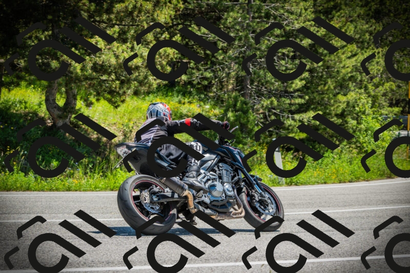 202506021230-DSC04703_c1_