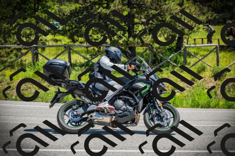 202506021230-DSC04704_c1_