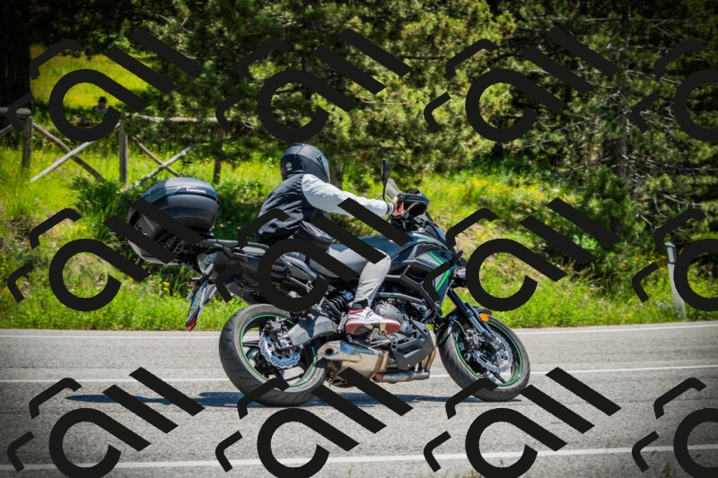 202506021230-DSC04705_c1_