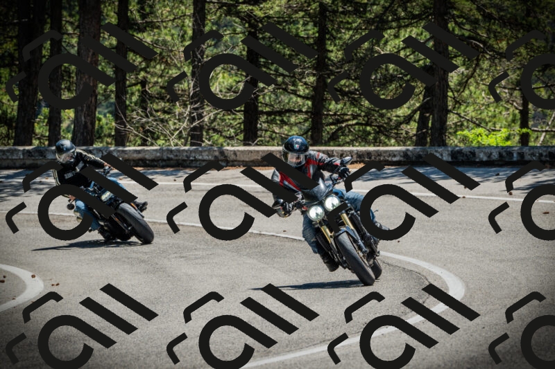 202506021232-DSC04707_c1_