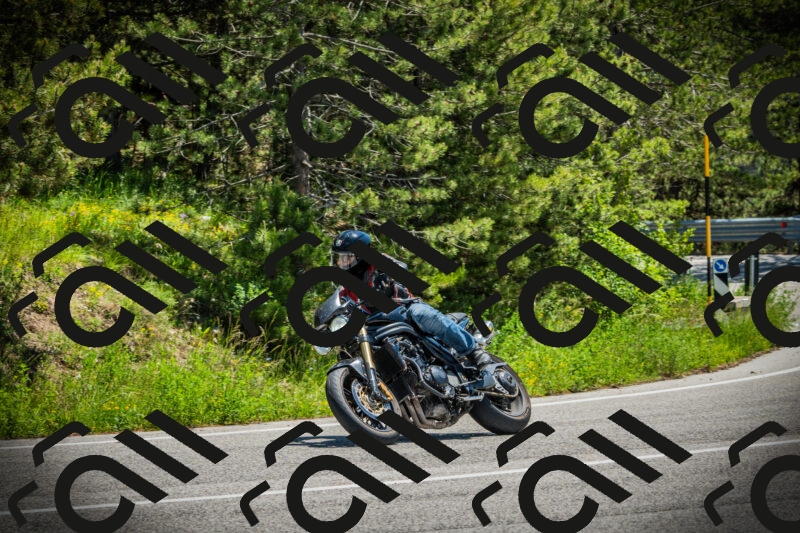 202506021232-DSC04709_c1_