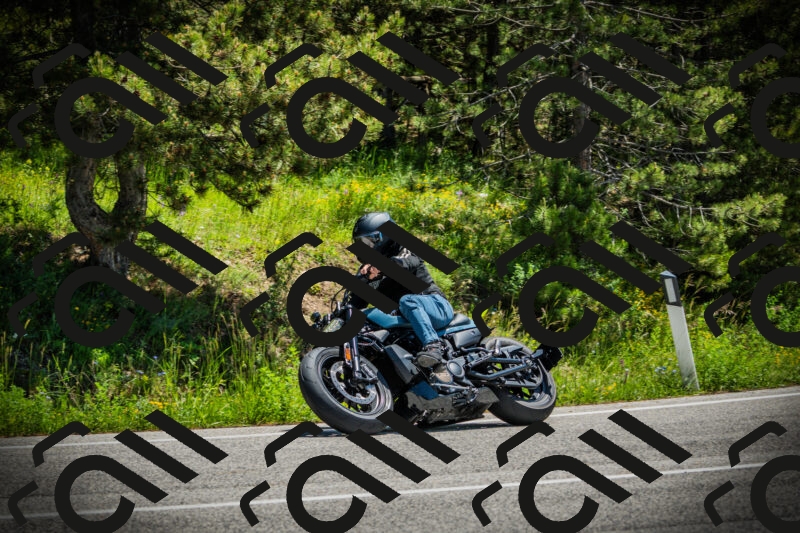 202506021232-DSC04710_c1_