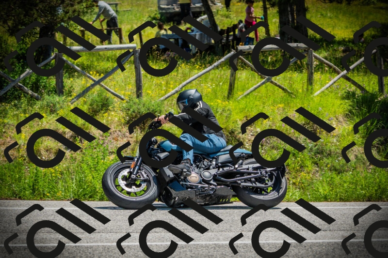 202506021232-DSC04711_c1_