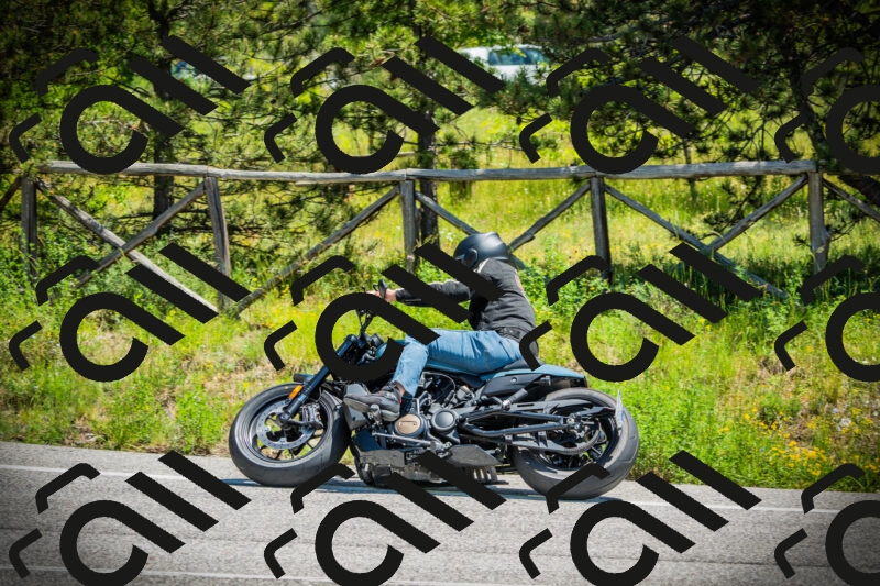 202506021232-DSC04712_c1_