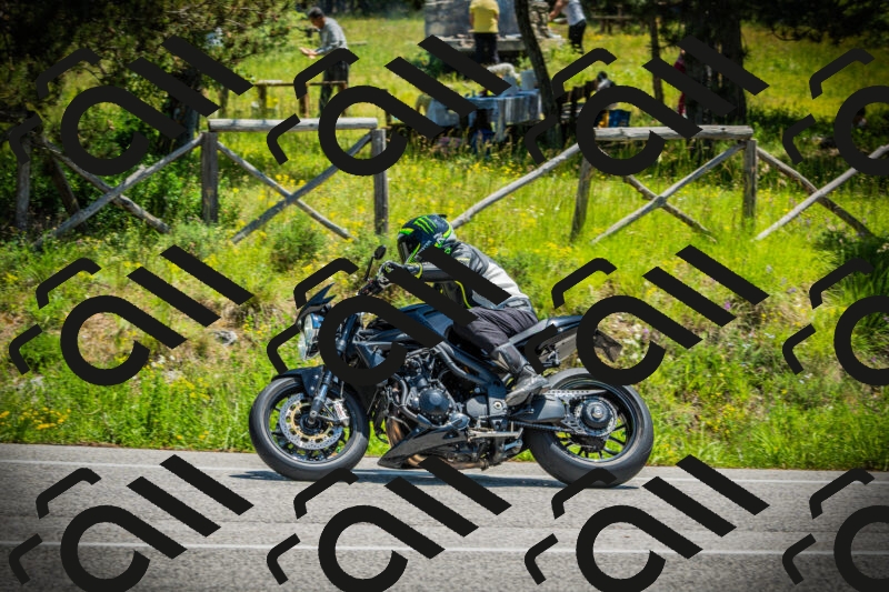 202506021232-DSC04713_c1_