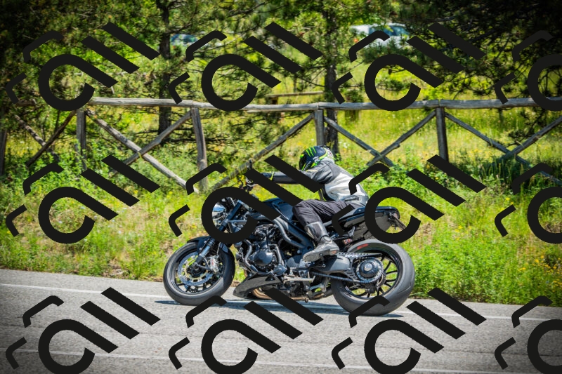 202506021232-DSC04714_c1_