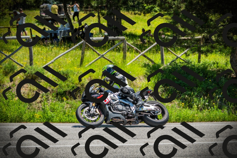 202506021233-DSC04718_c1_