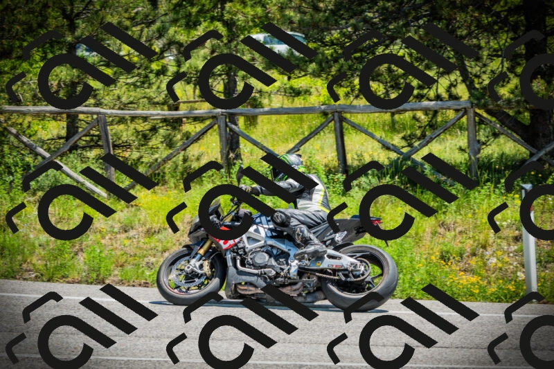 202506021233-DSC04719_c1_