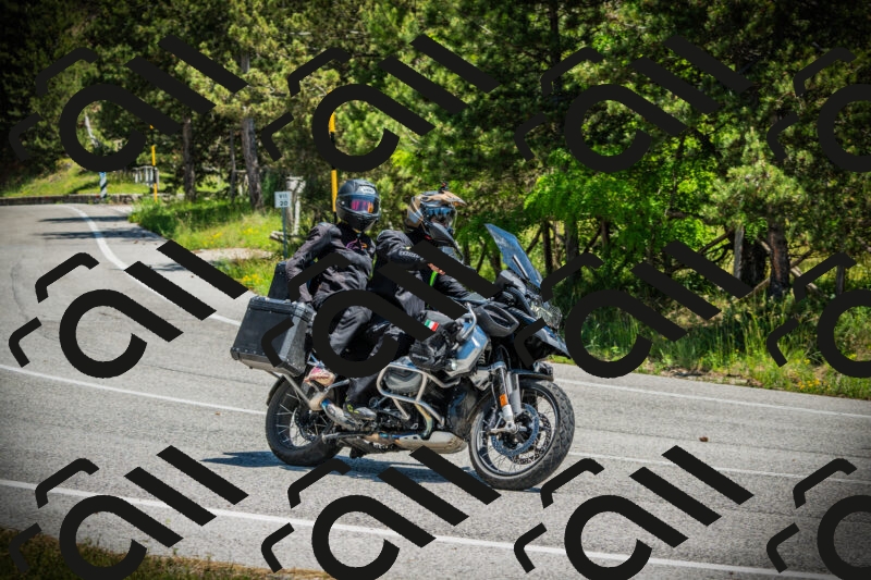 202506021234-DSC04725_c1_