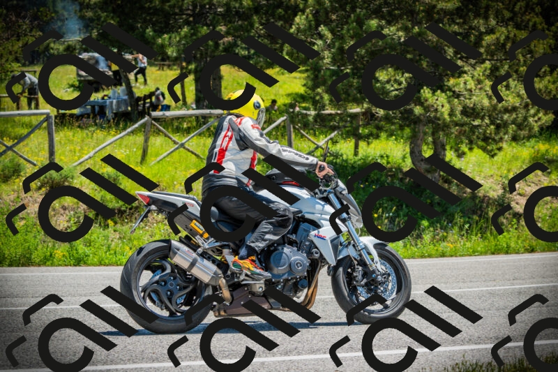 202506021234-DSC04728_c1_