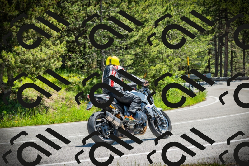 202506021234-DSC04729_c1_