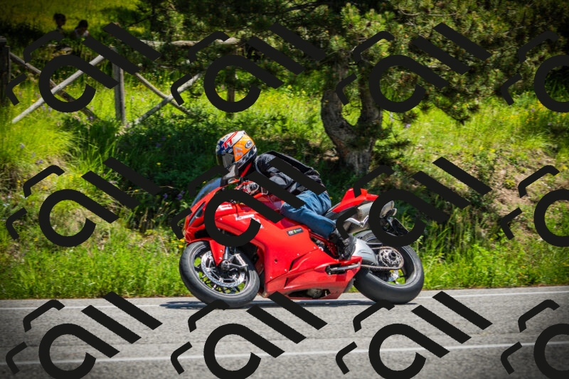 202506021234-DSC04733_c1_