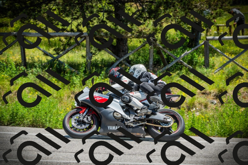 202506021234-DSC04738_c1_