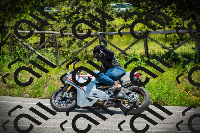 202506021235-DSC04747_c1_