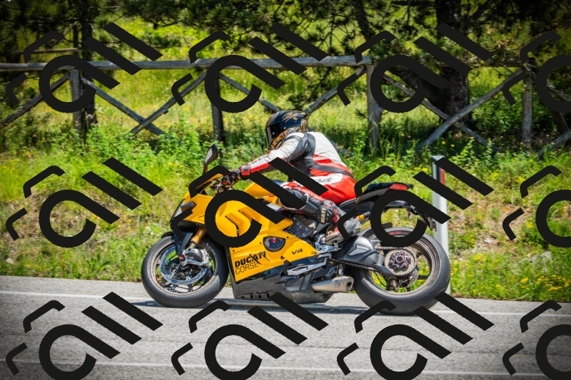 202506021235-DSC04750_c1_