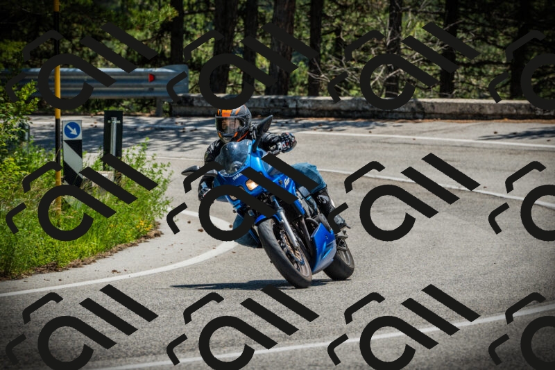 202506021235-DSC04753_c1_