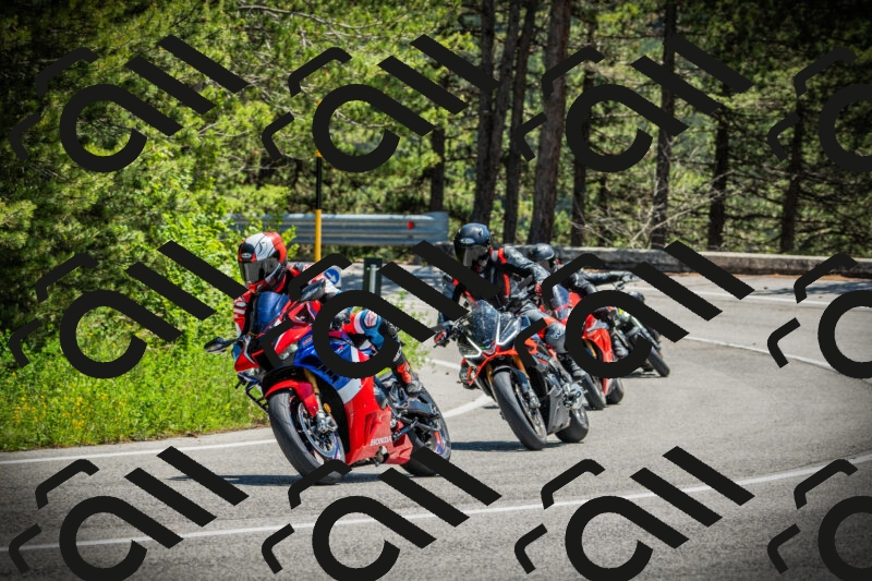 202506021235-DSC04759_c1_