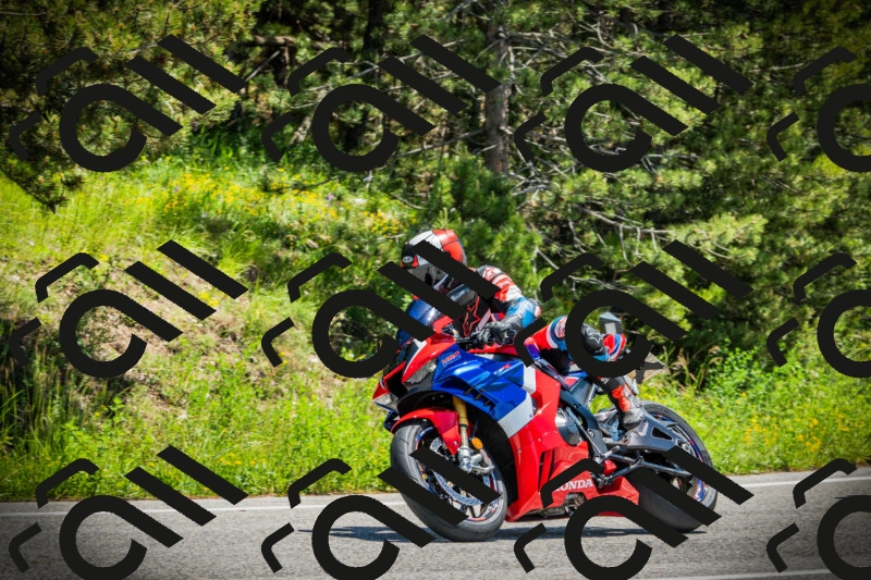 202506021235-DSC04760_c1_