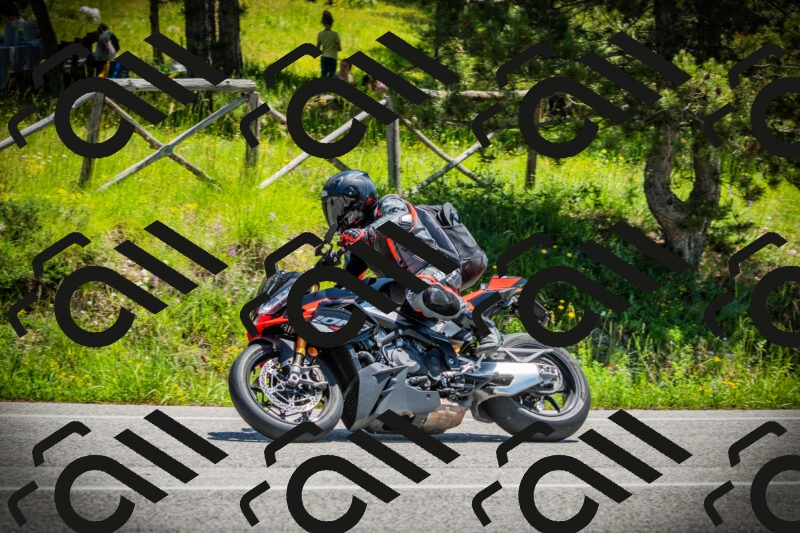 202506021235-DSC04761_c1_