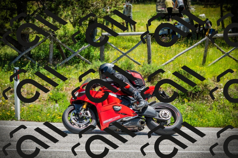 202506021235-DSC04762_c1_