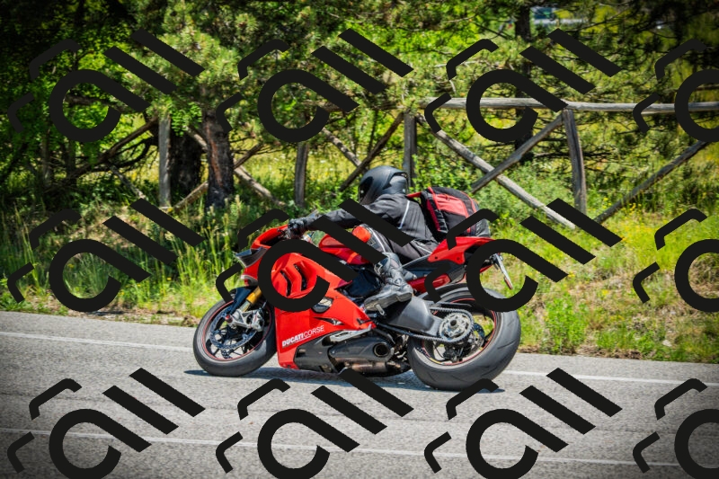 202506021235-DSC04763_c1_