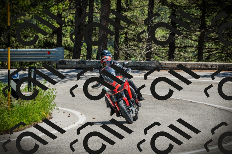 202506021235-DSC04768_c1_