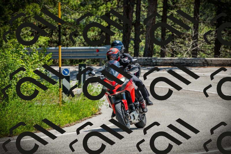 202506021235-DSC04769_c1_