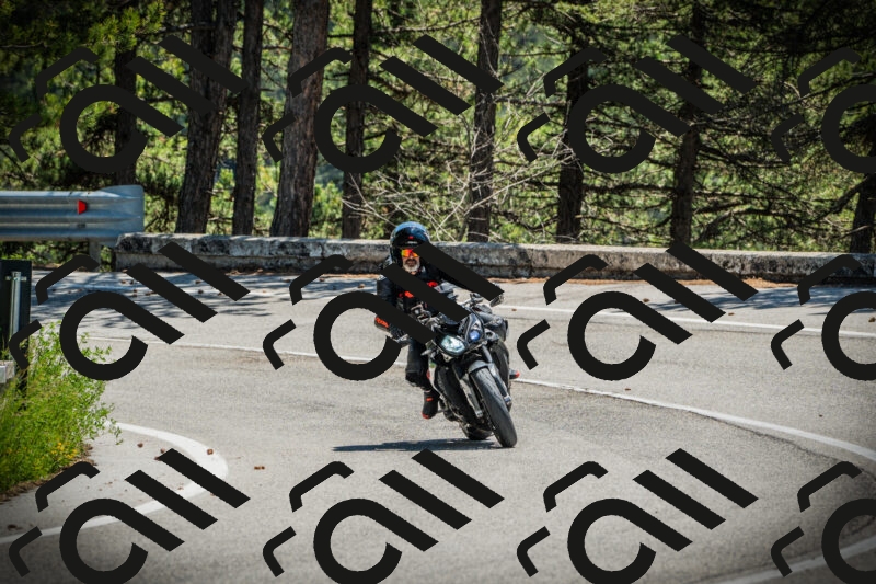 202506021236-DSC04772_c1_