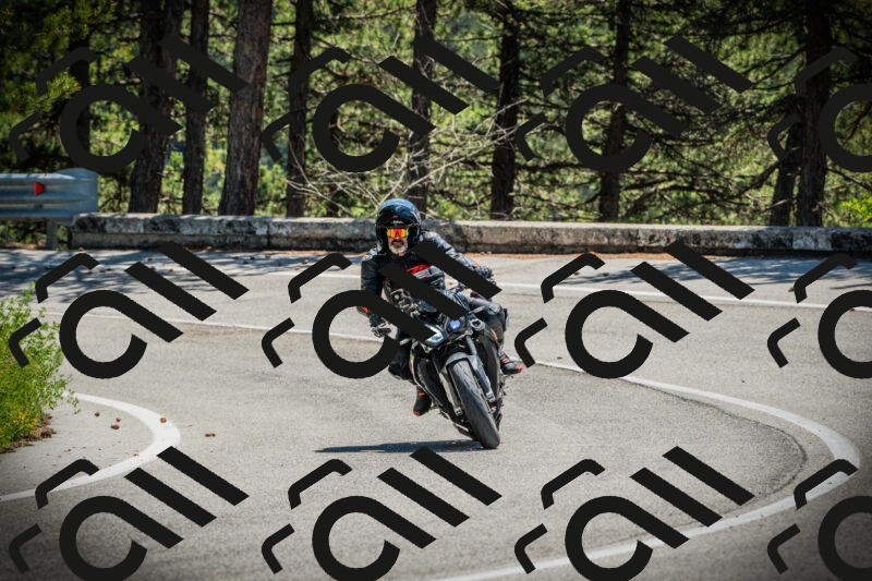 202506021236-DSC04773_c1_