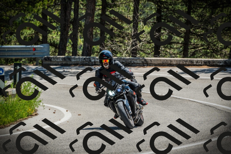 202506021236-DSC04774_c1_