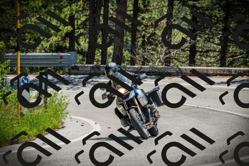 202506021236-DSC04778_c1_