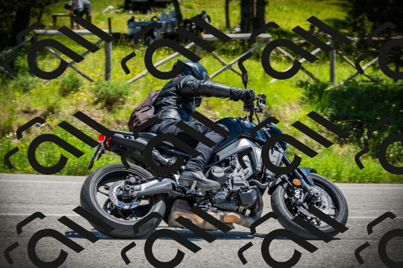 202506021237-DSC04799_c1_