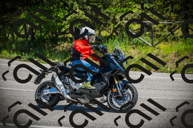 202506021238-DSC04804_c1_