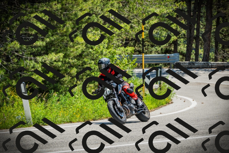 202506021240-DSC04811_c1_