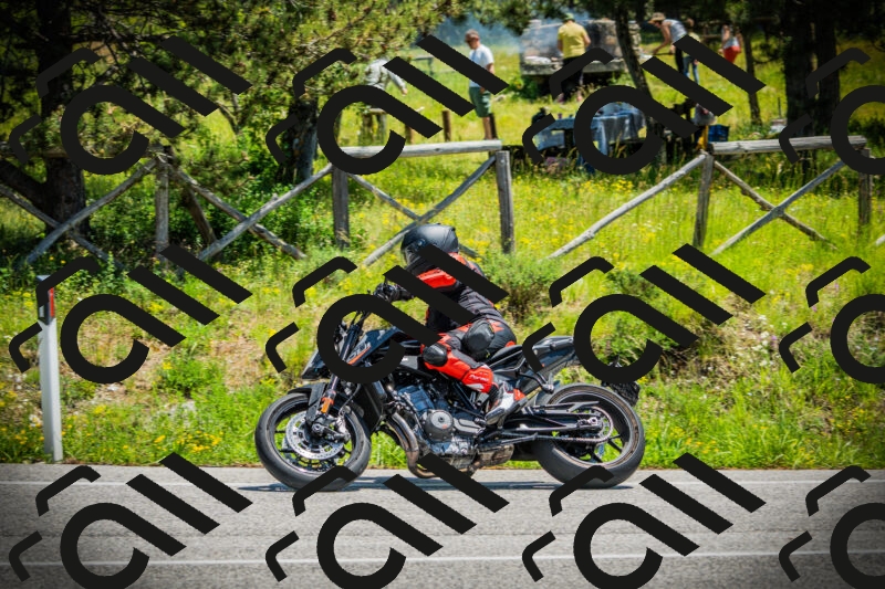 202506021240-DSC04812_c1_