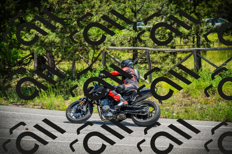 202506021240-DSC04813_c1_