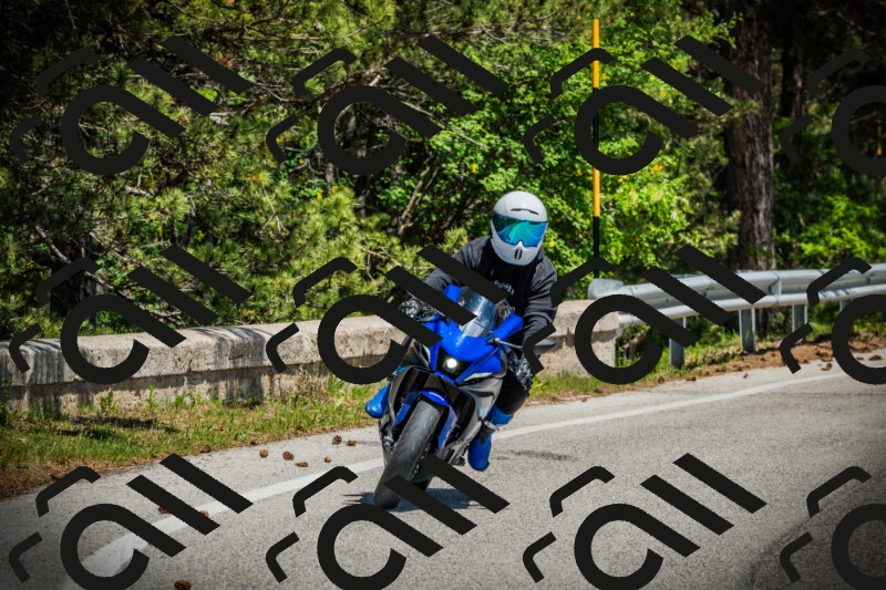 202506021241-DSC04815_c1_