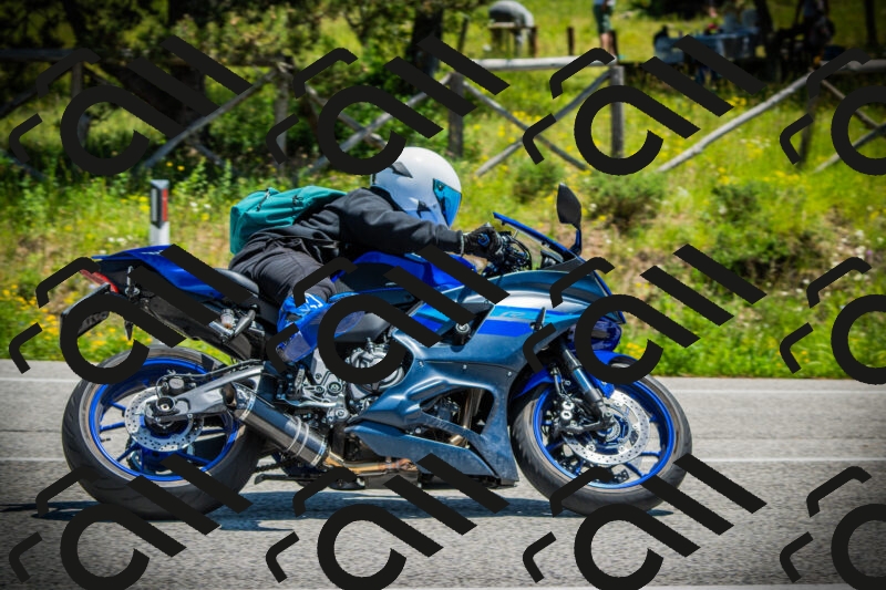 202506021241-DSC04818_c1_