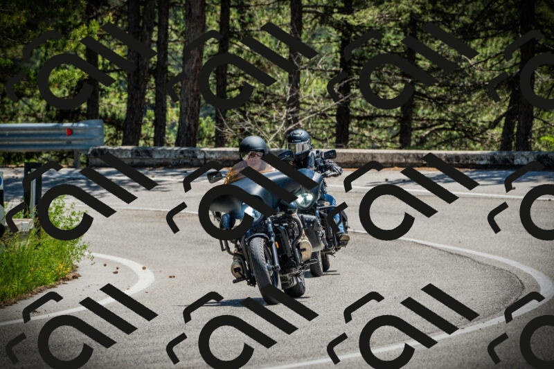 202506021241-DSC04821_c1_