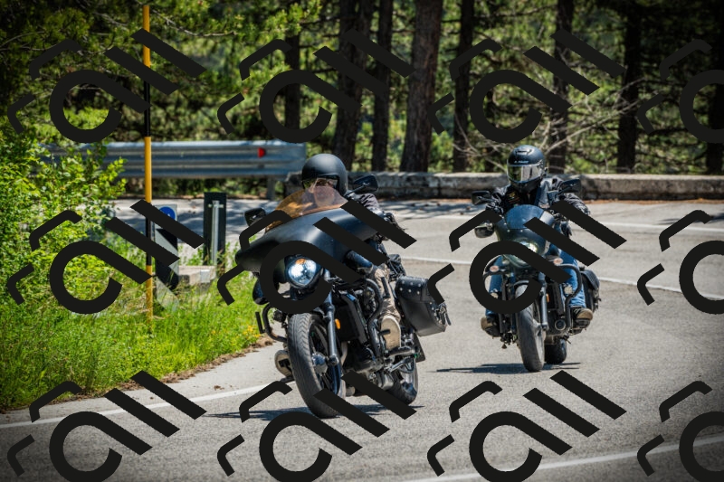 202506021241-DSC04822_c1_