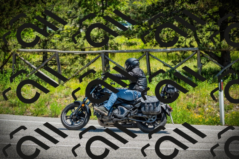 202506021241-DSC04826_c1_