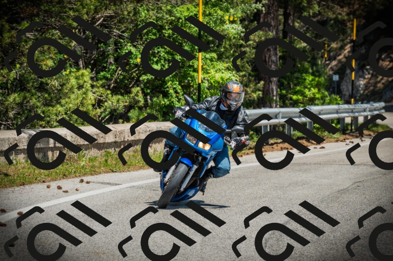 202506021241-DSC04828_c1_