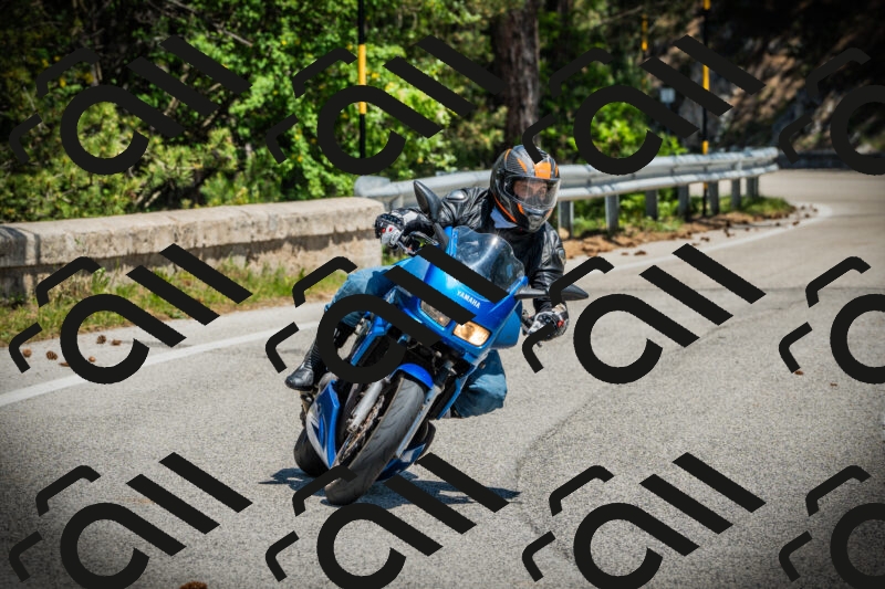 202506021241-DSC04829_c1_