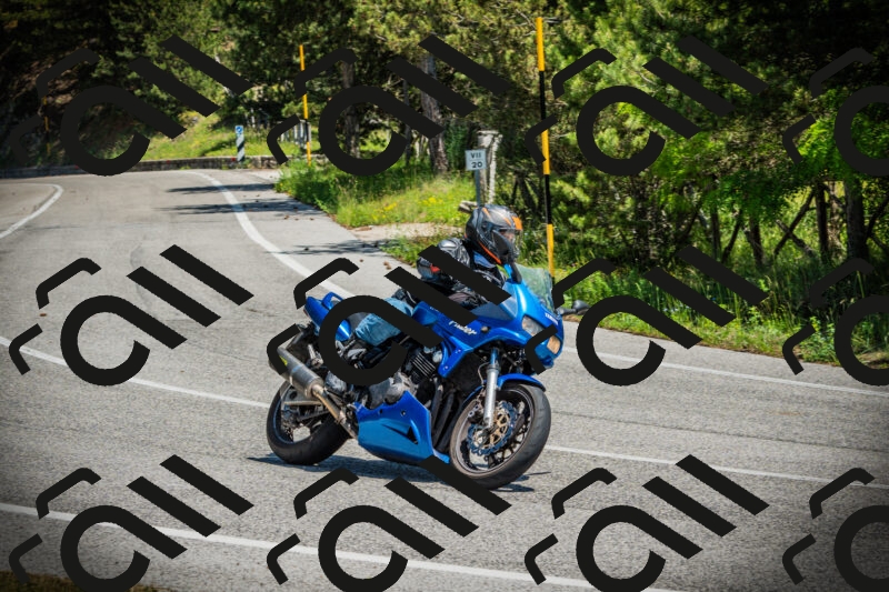 202506021242-DSC04830_c1_