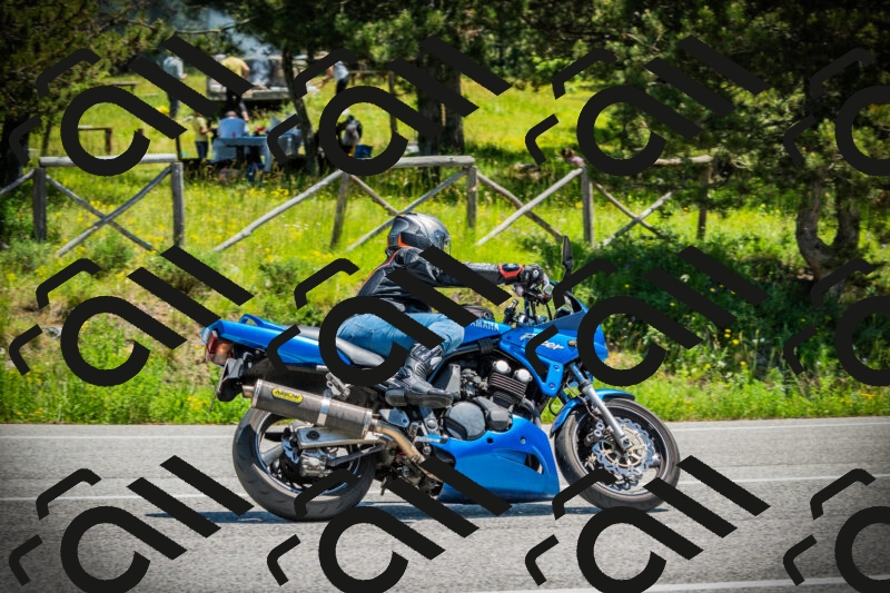 202506021242-DSC04831_c1_