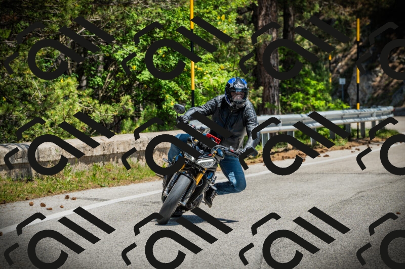 202506021244-DSC04834_c1_