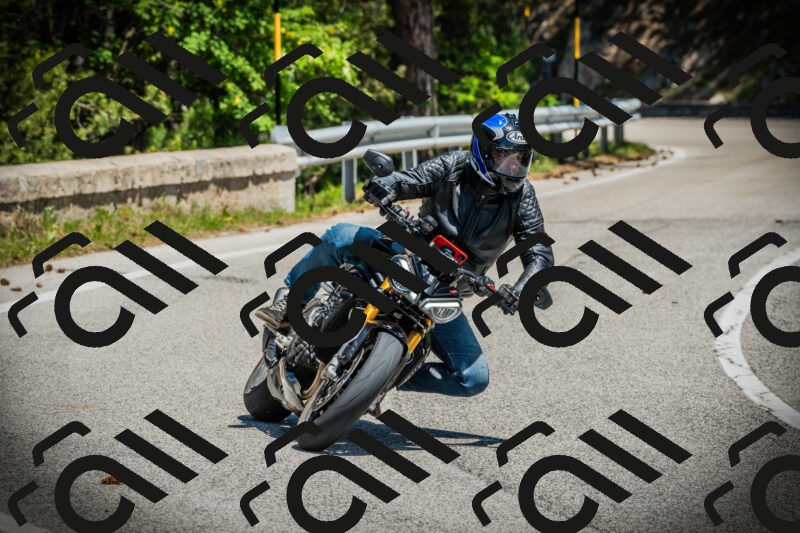 202506021244-DSC04835_c1_