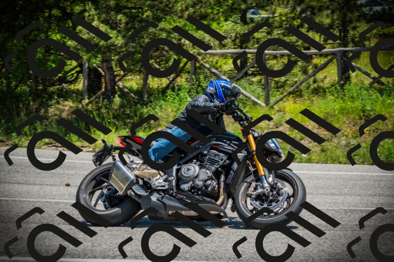 202506021244-DSC04836_c1_