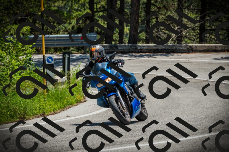 202506021244-DSC04841_c1_